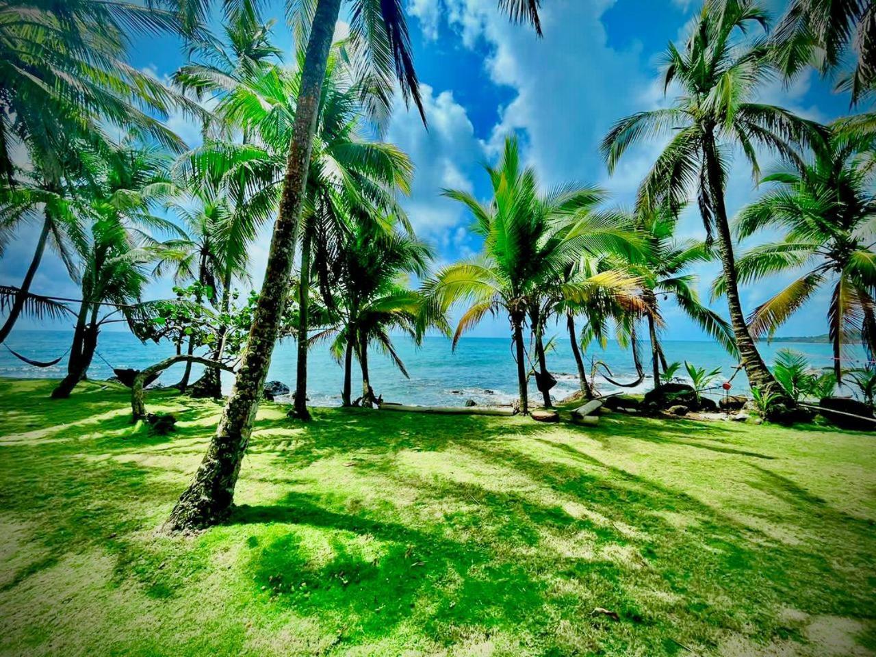 Guesthouse Island Escape South End Buitenkant foto