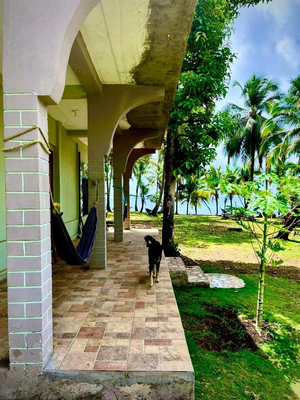 Guesthouse Island Escape South End Buitenkant foto
